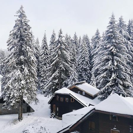 Apartments Zed Vila Zvoncica Kopaonik Exterior foto