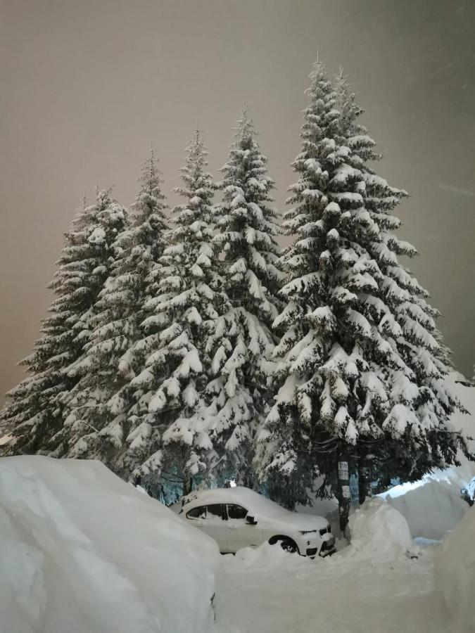 Apartments Zed Vila Zvoncica Kopaonik Exterior foto