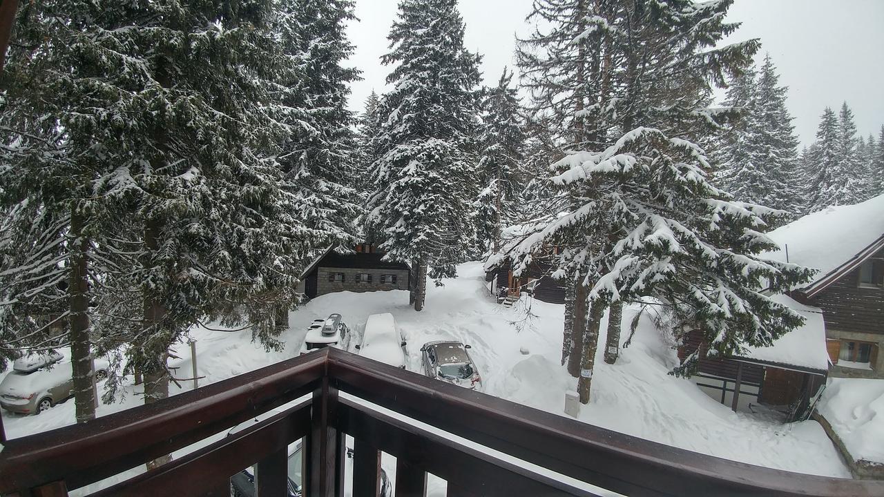 Apartments Zed Vila Zvoncica Kopaonik Exterior foto