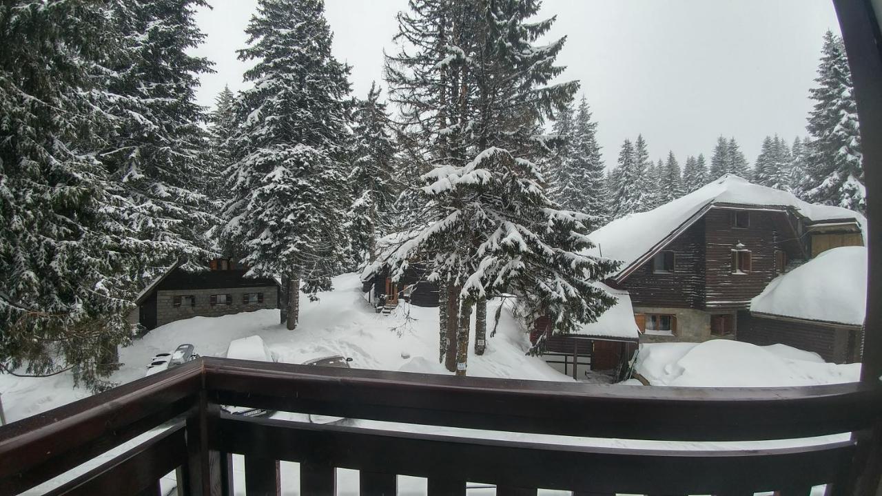 Apartments Zed Vila Zvoncica Kopaonik Exterior foto